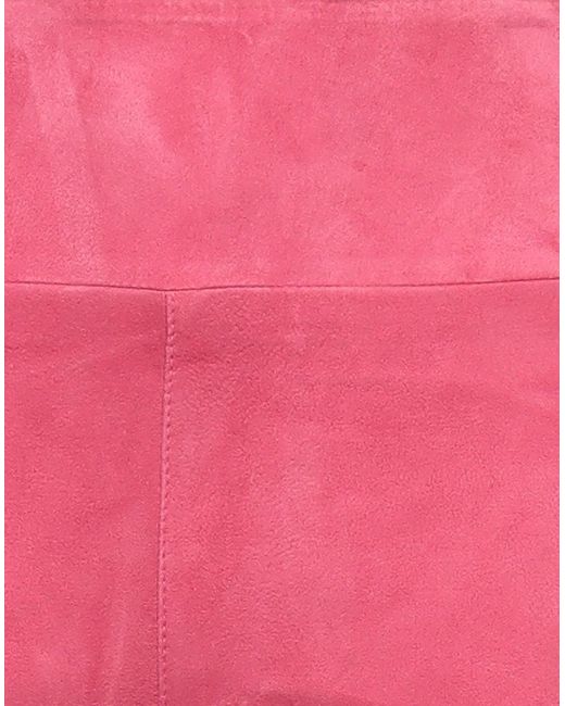 SPRWMN Pink Hose