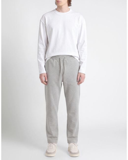 Lardini Gray Trouser for men
