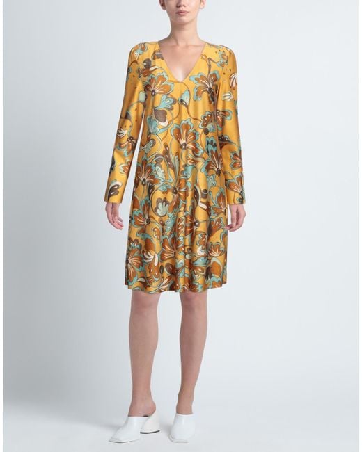 Maliparmi Metallic Midi Dress