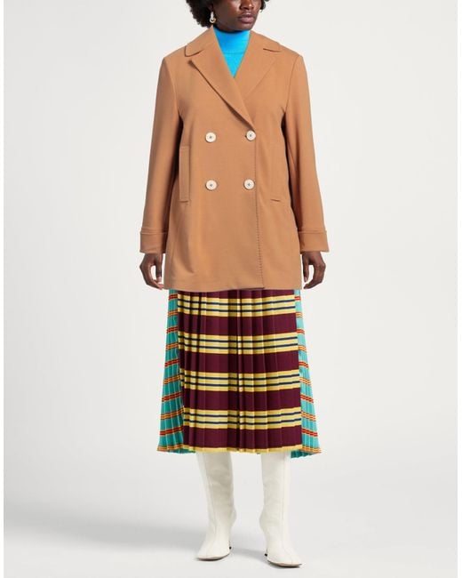 Circolo 1901 Brown Double-Breasted French Terry Jacket