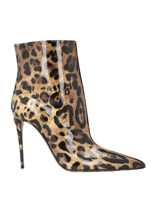 Dolce & Gabbana Brown Ankle Boots Leather