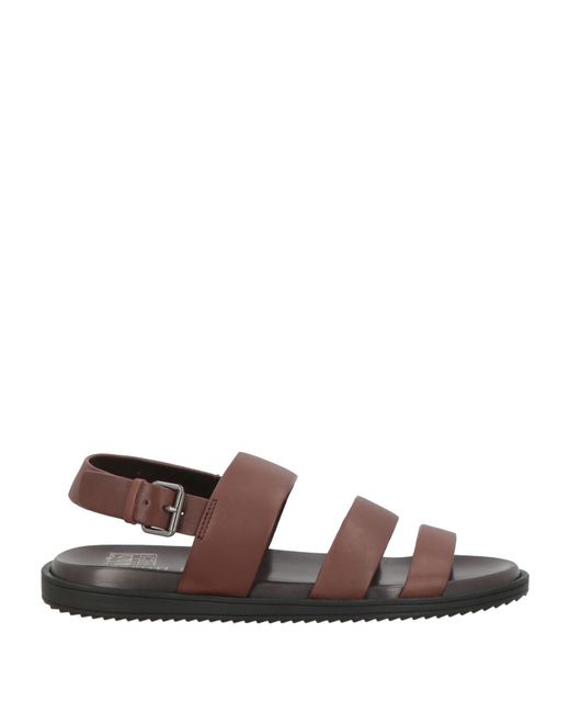 Cerruti 1881 Brown Chocolate Sandals Cow Leather for men