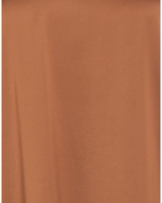 Kangra Brown Tops