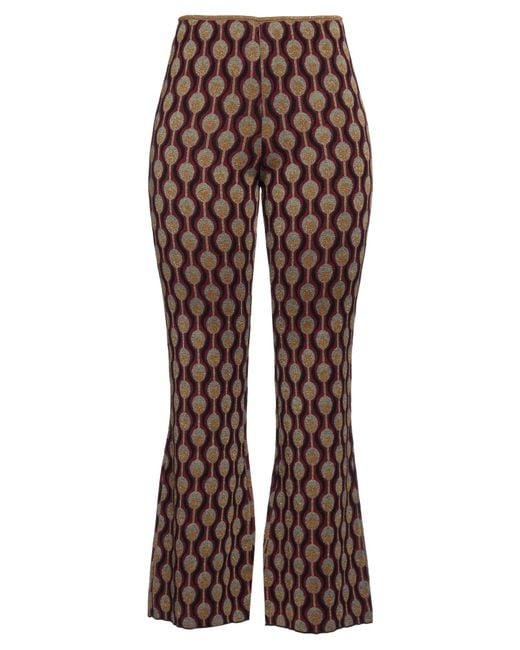 Maliparmi Brown Pants