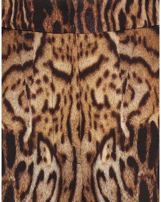 Roberto Cavalli Brown Pants Polyester, Elastane