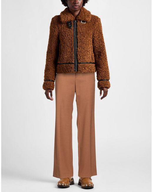 Berwich Brown Pants Polyester, Virgin Wool, Elastane