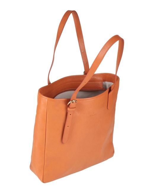 Borsa A Mano di Il Bisonte in Orange