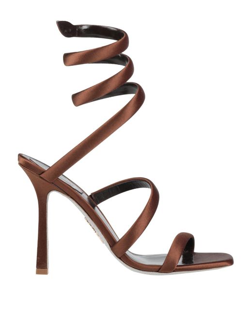 Rene Caovilla Brown Sandale