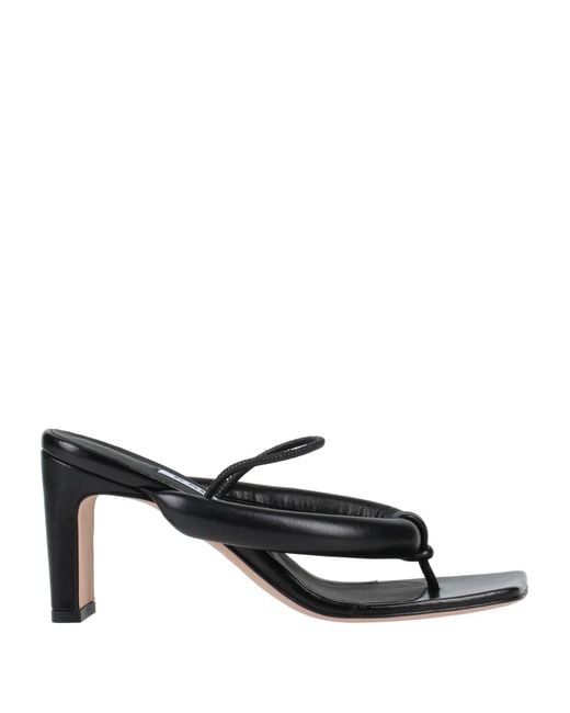 Kalliste Black Thong Sandal