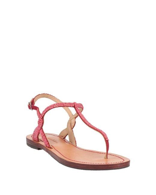 Maliparmi Pink Thong Sandal