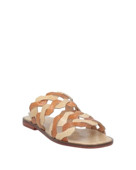 Maliparmi Multicolor Sandals