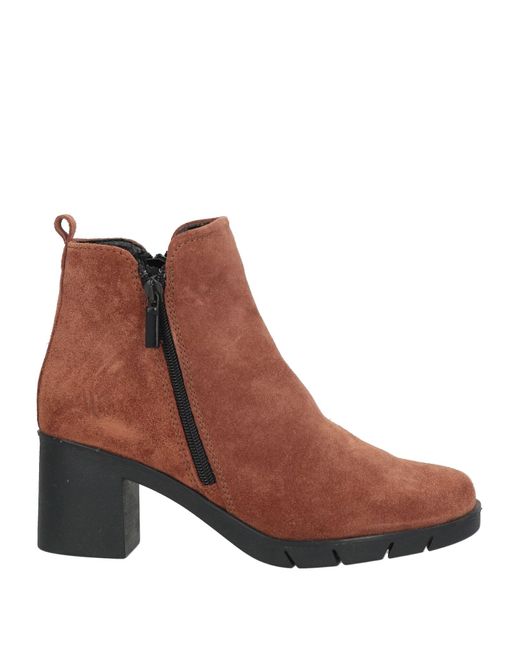 Botines De Caña Alta The Flexx de color Brown