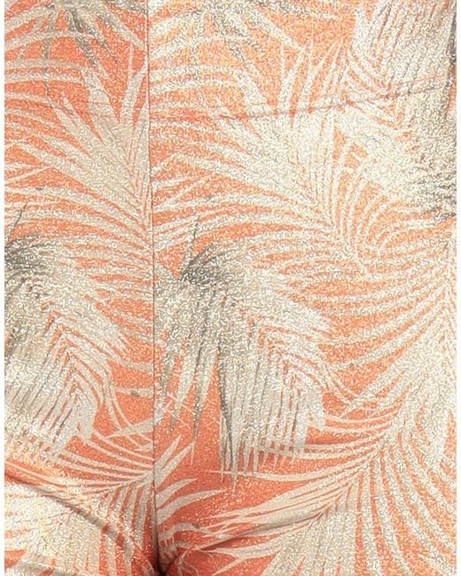 Fisico Natural Trouser