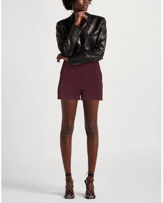 Elisabetta Franchi Purple Essential Shorts & Bermuda Shorts Polyester, Elastane