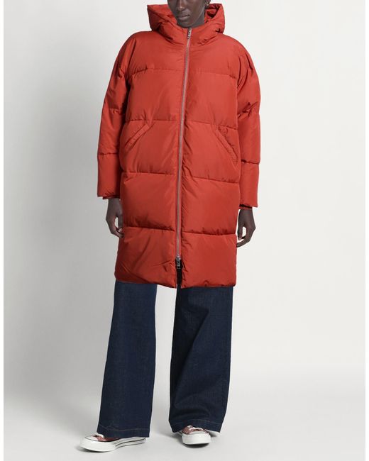 Embassy of Bricks and Logs Red Puffer