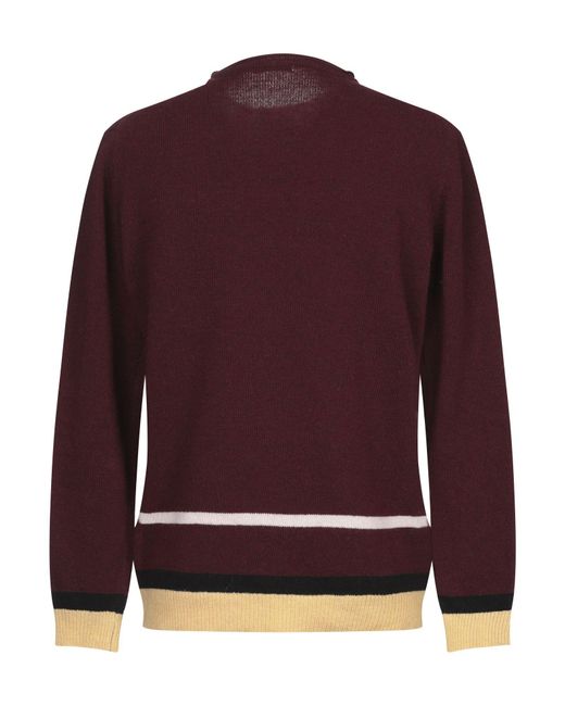 Daniele Alessandrini Purple Sweaters for men