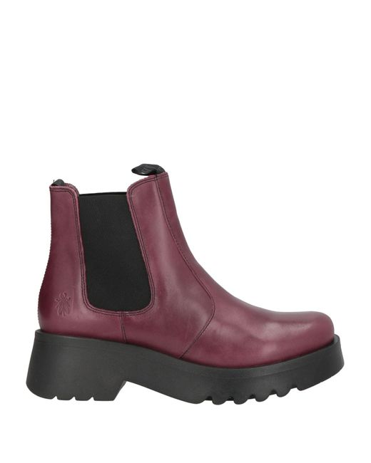 Fly London Purple Ankle Boots