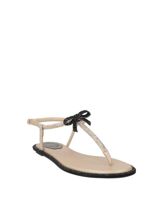 Rene Caovilla White Thong Sandals