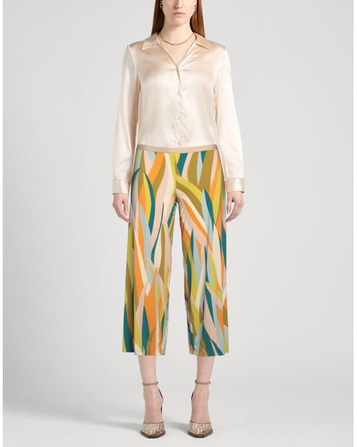Siyu Multicolor Hose