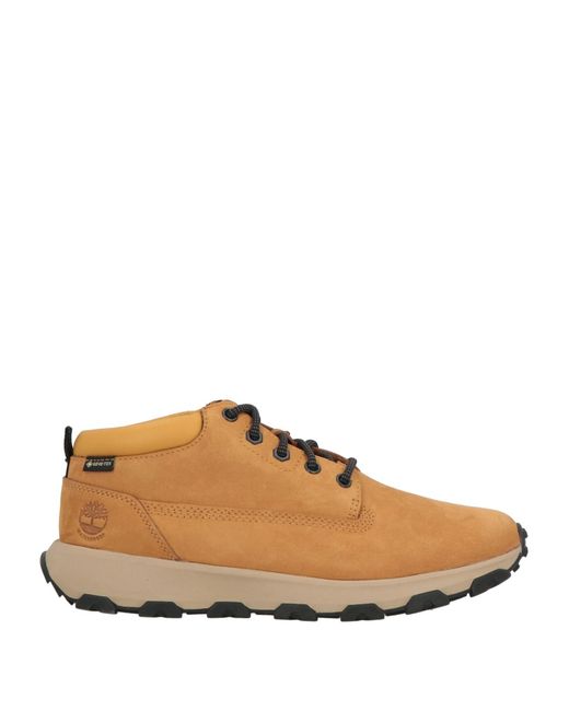 Timberland Brown Trainers for men