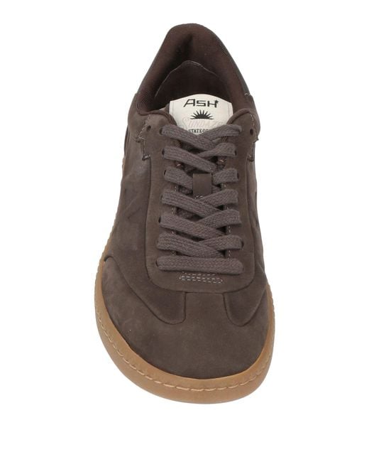 Ash Brown Sneakers Leather