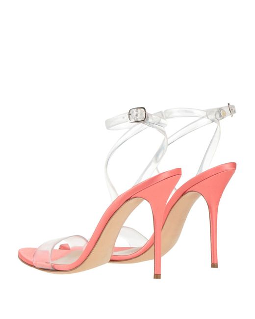 Casadei Pink Sandals Pvc