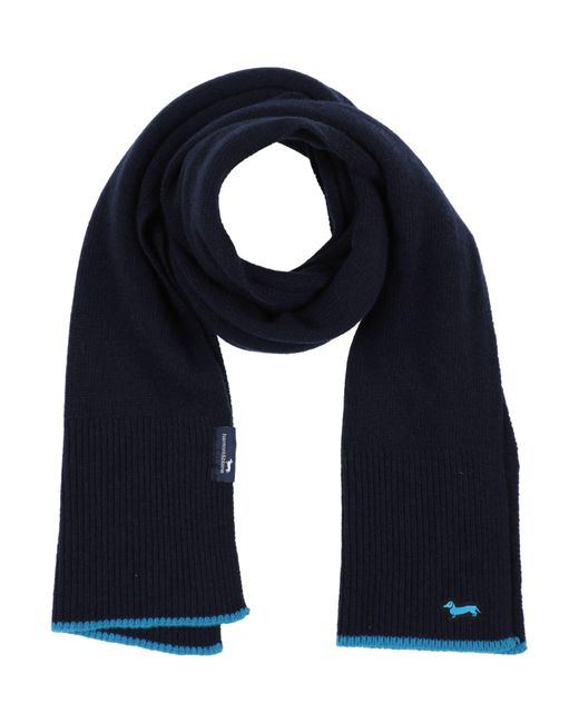 Harmont & Blaine Blue Scarf for men