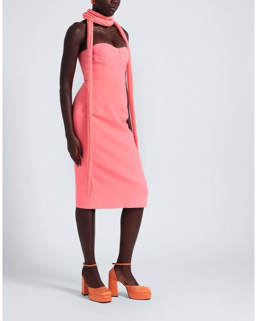 MAX&Co. Pink Midi Dress