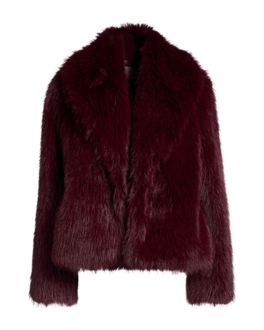 Kaos Purple Shearling & Teddy