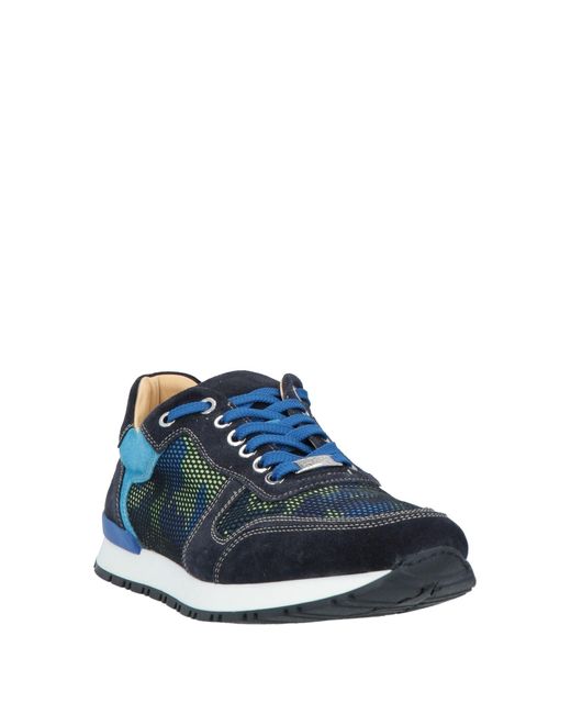 Gold Brothers Blue Trainers for men
