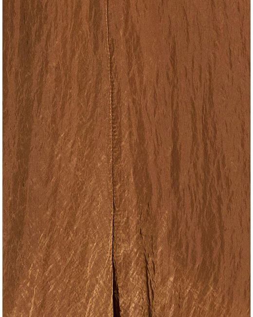 Hache Brown Pants Viscose, Polyamide