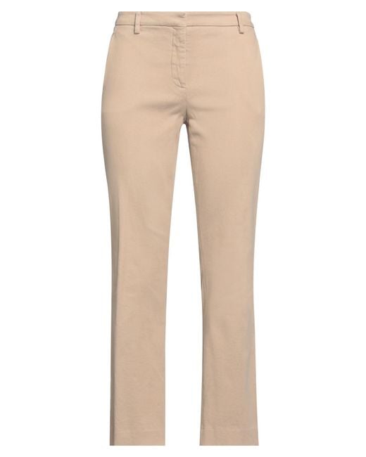 True Royal Natural Pants Cotton, Elastane