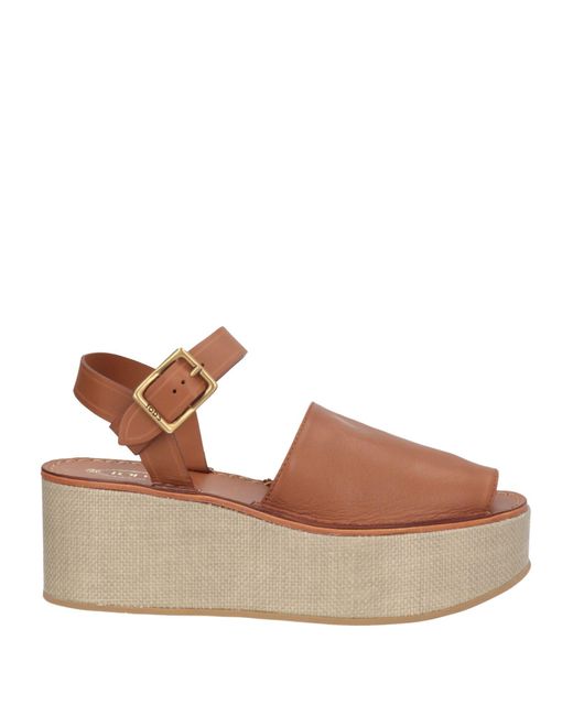 Tod's Brown Sandals
