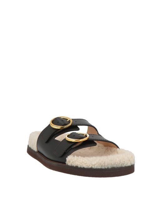 Odissi Black Sandals
