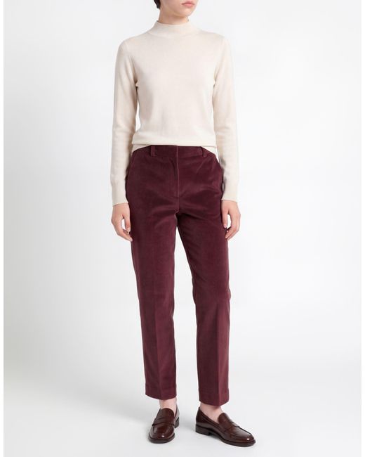 Circolo 1901 Red Burgundy Pants Cotton, Polyester