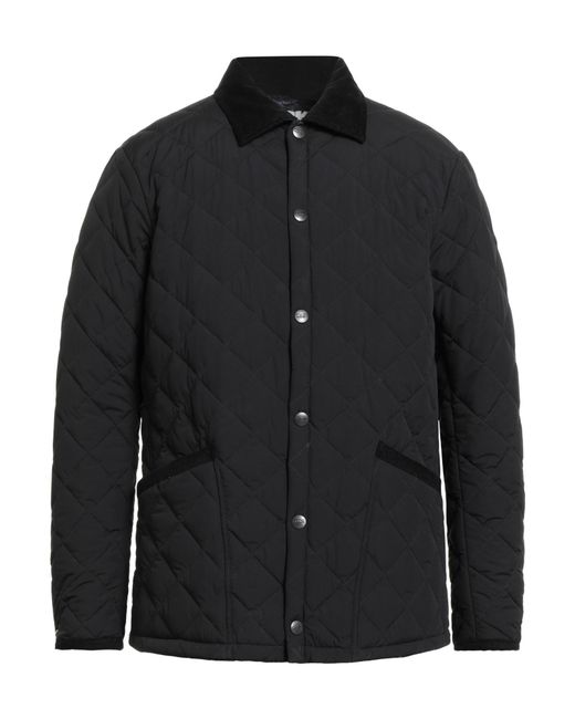 Husky Black Puffers for men
