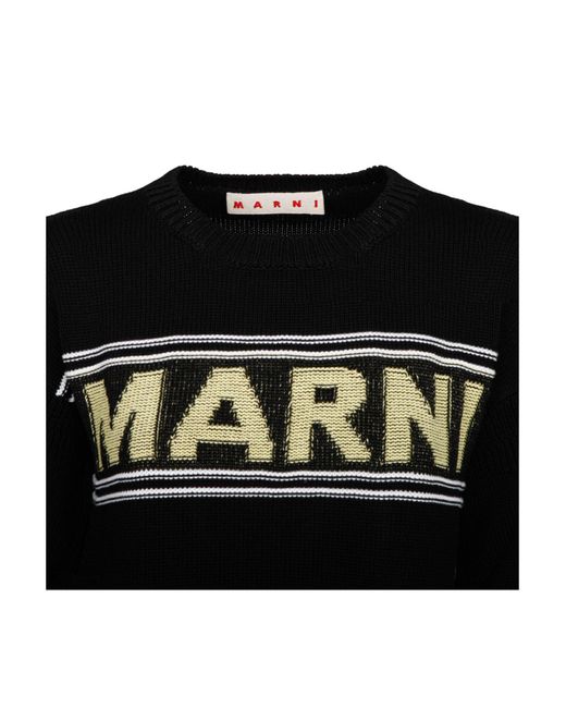 Sweat-shirt Marni en coloris Black