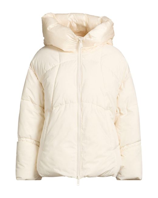 Ice Iceberg Natural Puffers