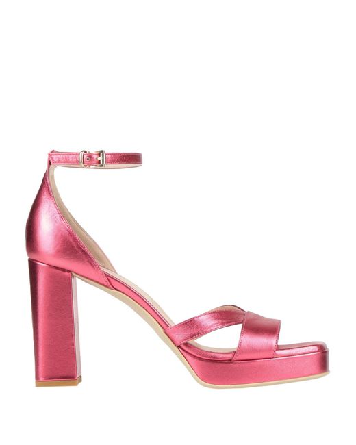 Sergio Cimadamore Pink Sandals Leather