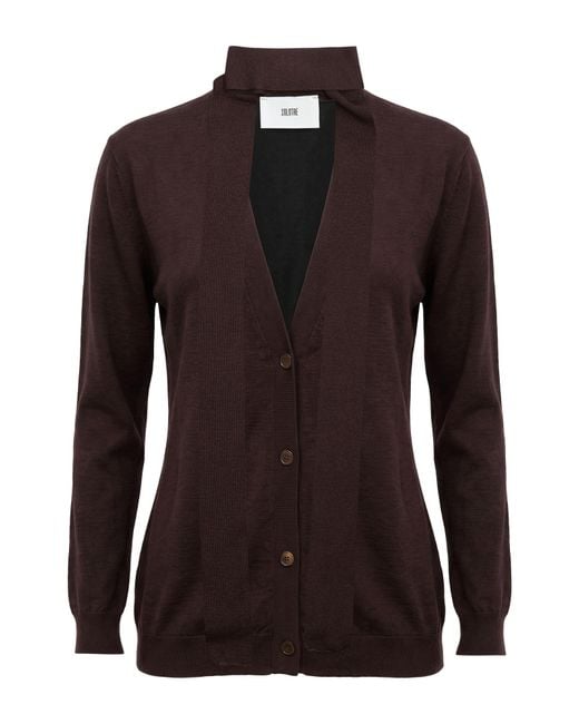 Rebecas SOLOTRE de color Brown
