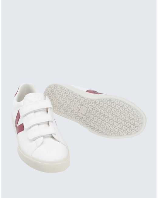 Veja White Sneakers for men