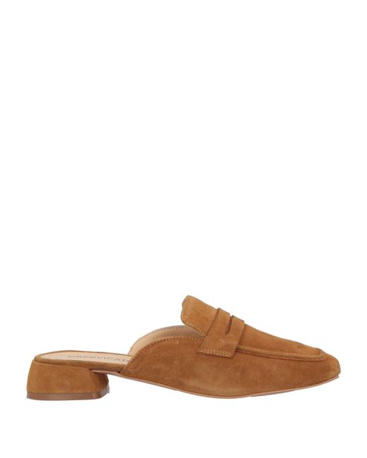 Bervicato Brown Mules & Clogs