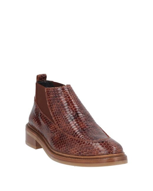 SERGIO NAVA Brown Stiefelette