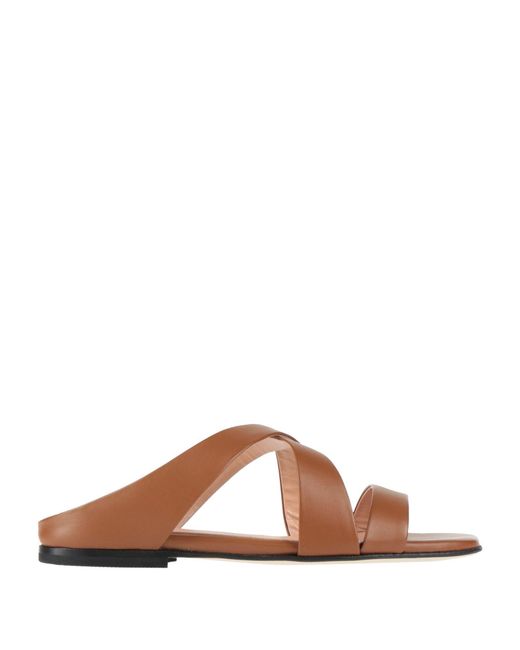Pollini Brown Sandale