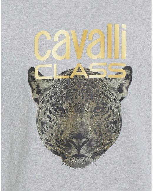 Roberto Cavalli Gray Sweatshirt for men