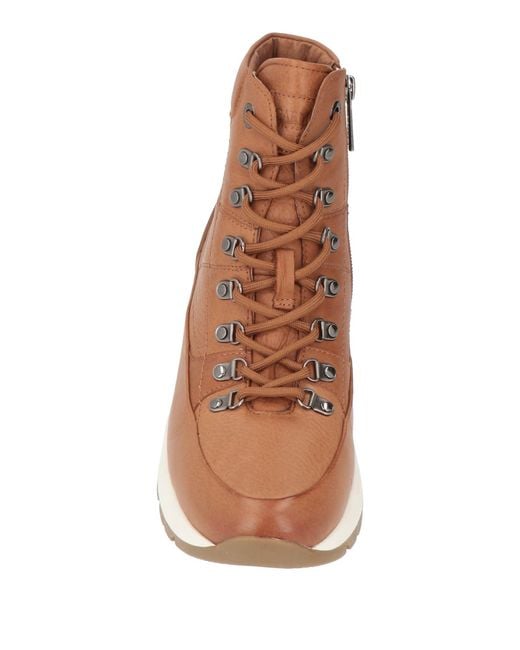 Carmela Brown Trainers
