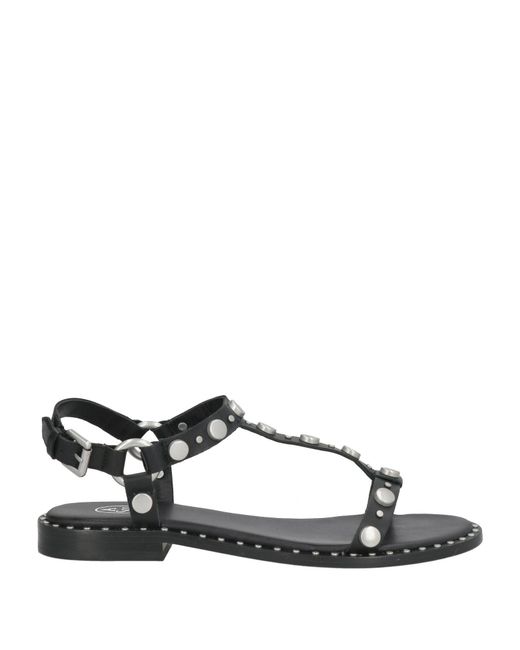 Ash Black Sandals