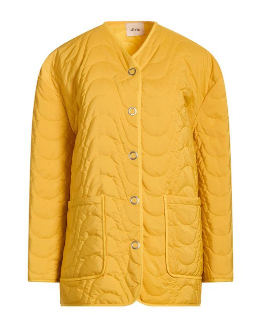 Dixie Yellow Jackets