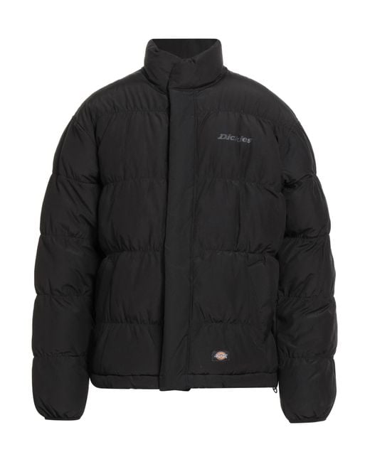 Dickies Black Puffer Cotton, Polyester for men