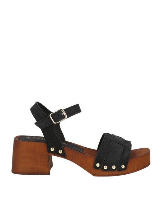 CafeNoir Black Mules & Clogs